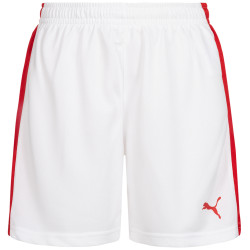 Puma DHF Denmark PUMA Women Handball Shorts 750674-12