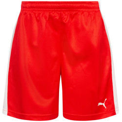 Puma DHF Denmark PUMA Women Handball Shorts 750674-01