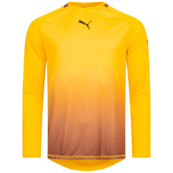 Puma PUMA Men Long-sleeved Goalkeeper Jersey 740208-04