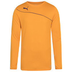 Puma PUMA Momentta Men Goalkeeper Jersey 701702-25