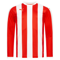 Puma PUMA Striped Men Long-sleeved Jersey 702086-01