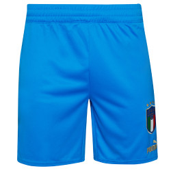 Puma Italy FIGC PUMA Men Shorts 765668-01