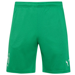 Puma PUMA x NEYMAR JR. Copa Men Shorts 605570-07