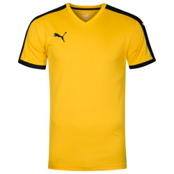 Puma PUMA pitch jersey short sleeve jersey 702070-07