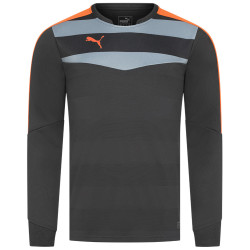 Puma PUMA Stadium GK Men Goalkeeper Jersey 702089-33