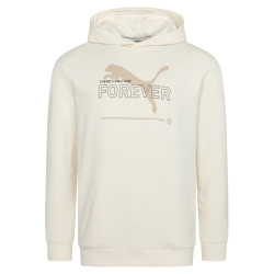 Puma PUMA Essentials BETTER Men Hoody 673293-99