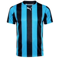 Puma PUMA Teamwear Men Jersey 903295-02