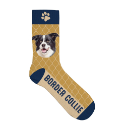 Ponoky Border Collieollie 36-41