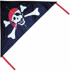 Breeze Pirate Kite Stunt Kite OGK109